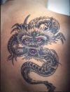 european dragon back tattoo